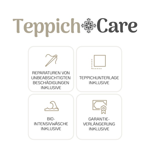 TC5000 TeppichCare